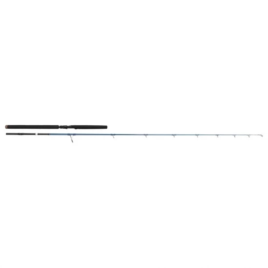 Savage Gear SGS2 Enchufe Para Alta Mar 2,50 M F 50-120 G H 3 Savage Gear SGS2 Enchufe Para Alta Mar 2,50 M F 50-120 G H