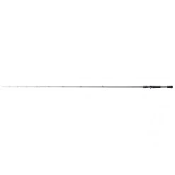 Shimano Curado Casting EF 2.13m 10-21g