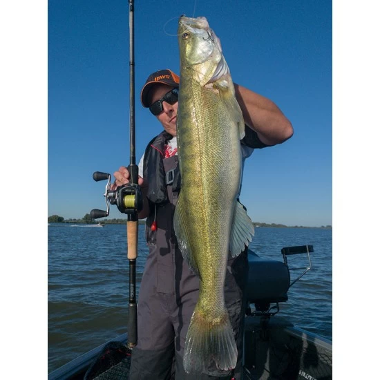 Fox Rage Terminator Casting Rod Power Shad 225cm 20-90g 12 Fox Rage Terminator Casting Rod Power Shad 225cm 20-90g - Imagen 10