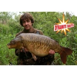 DYNAMITE BAITS Boilies Dynamite CompleX-T 12mm 1kg -Pesca Descuento Tienda dynamite complex t 12mm 1kg boilies team outdoors nl a20764 550x550w 9